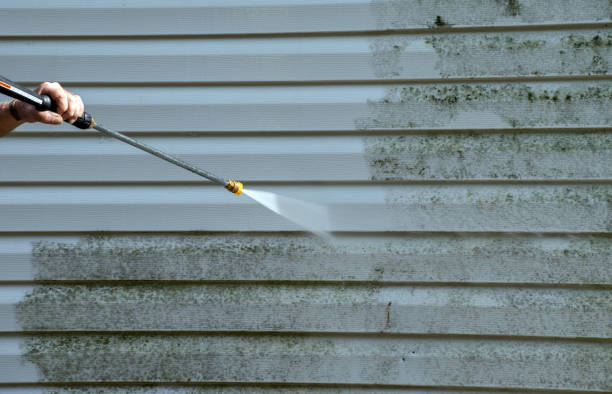 Best Driveway Pressure Washing  in Lexington, OK